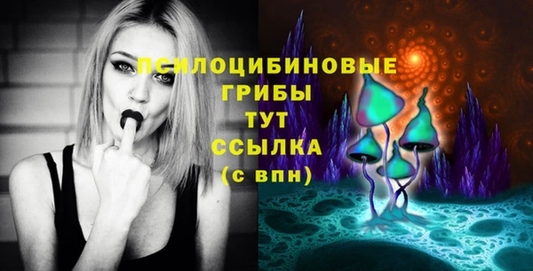 гидропоника Куйбышев