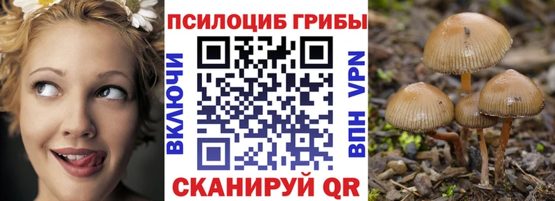 Купить где  Юрга  Галлюциногенные грибы прущие грибы 